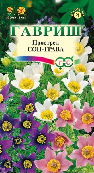 Семена Прострел Сон-трава смесь 0,05 г