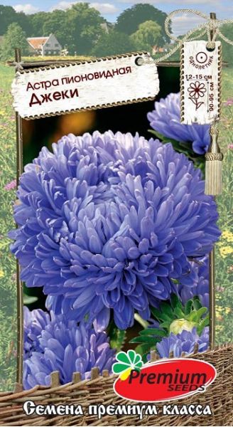 Семена Астра Джеки 0,3 г Премиумсидс