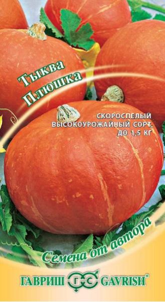Семена Тыква Плюшка 2 г