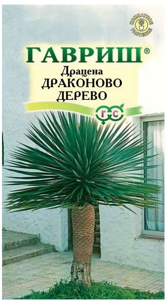 Семена Драцена Драконово Дерево 3 шт.