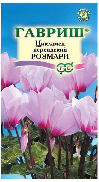 Семена Цикламен Розмари персидский 3 шт.