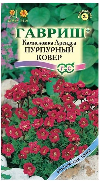 Семена Камнеломка Арендса Пурпурный ковер 0,01 г