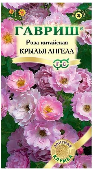 Семена Роза китайская Крылья ангела 5 шт