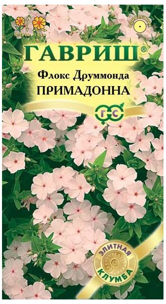 Флокс Примадонна друммонда* 8 шт. серия Элитная клумба