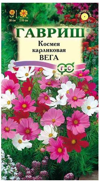 Космея Вега, бело-розовая смесь 0,5 г