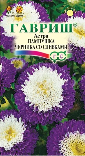Семена Астра Пампушка черника со сливками 0,3 г