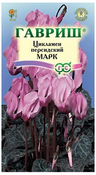 Семена Цикламен Марк персидский 3 шт.