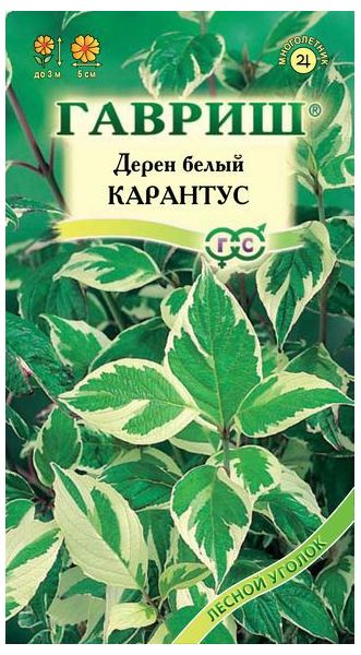 Семена Дерен белый Карантус 0,1 г