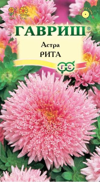 Семена Астра Рита 0,3 г