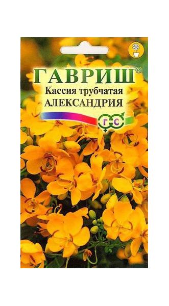 Семена Кассия Александрия трубчатая 3 шт.