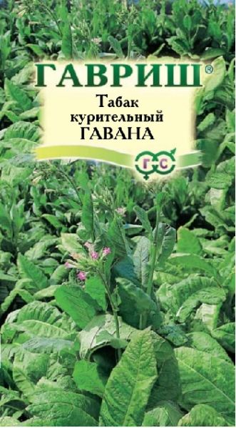 Семена Табак курительный Гавана розовоцветковый 0,01 г