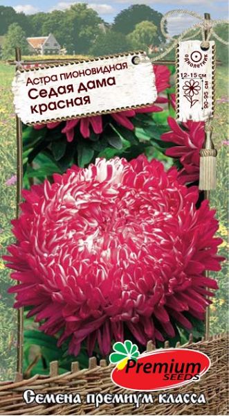 Семена Астра Седая дама красная 0,1 г Премиумсидс
