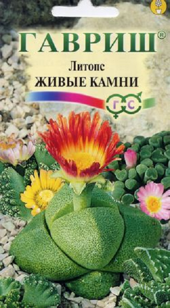 Семена Литопс Живые Камни 5 шт.
