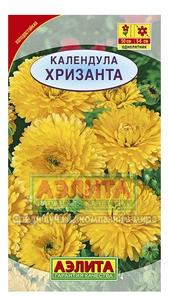 Календула Хризанта 0,5 г Аэлита