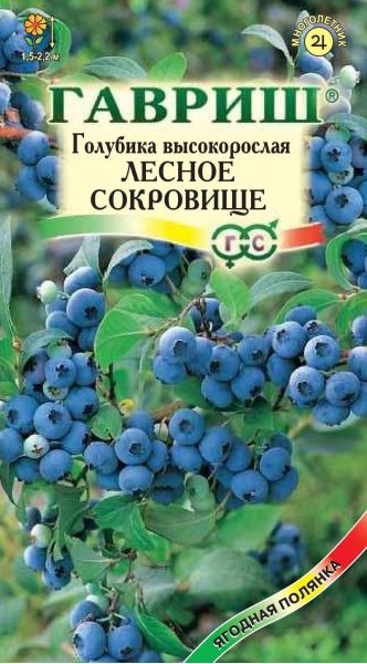 Семена Голубика высокорослая Лесное сокровище 30 шт.