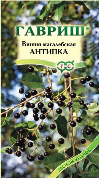Семена Вишня магалебка Антипка 1 г