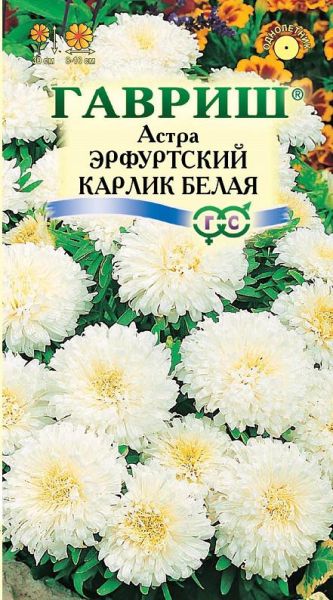 Семена Астра Эрфуртский карлик Белая 0,3 г