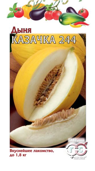 Семена Дыня Казачка 244 0,5 г