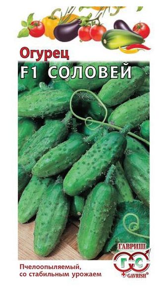 Семена Огурец Соловей F1 10 шт