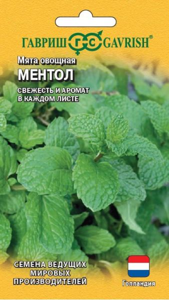 Семена Мята Ментол 0,05 г Голландия