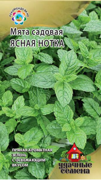 Семена Мята Ясная нотка 0,05 г Удачные семена