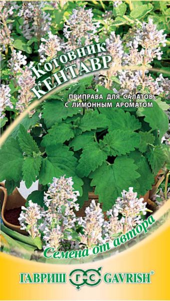 Семена Котовник Кентавр 0,2 г