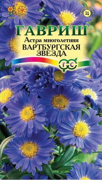 Семена Астра Вартбургская звезда голубоватая 0,05 г