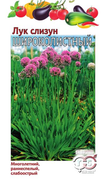 Семена Лук слизун Широколистный 0,5 г