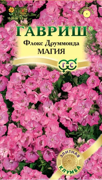 Флокс Магия друммонда* 8 шт. серия Элитная клумба