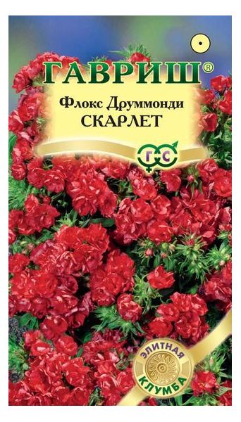 Флокс Скарлет друммонда* 8 шт. серия Элитная клумба
