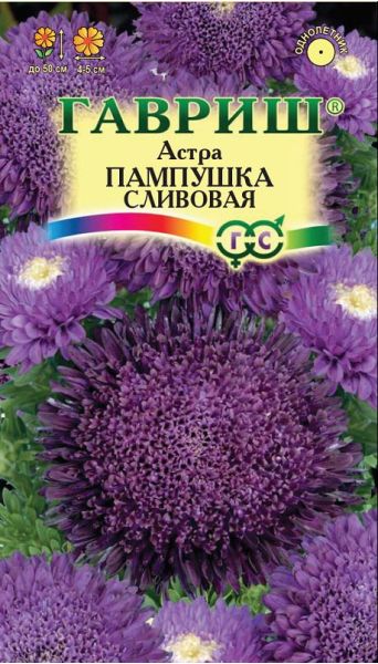 Семена Астра Пампушка сливовая 0,3 г