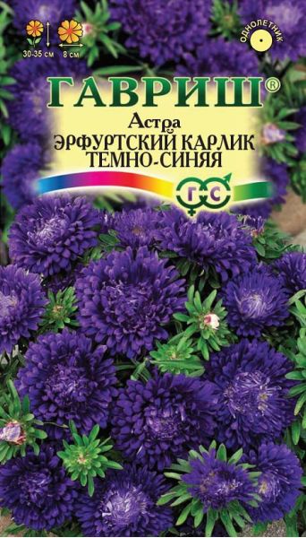 Семена Астра Эрфуртский карлик Темно-синяя 0,3 г