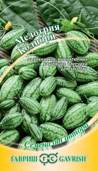 Семена Мелотрия Колибри мини-арбуз 20 шт