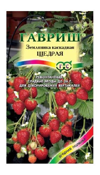 Семена Земляника ампельная Щедрая 4 шт.