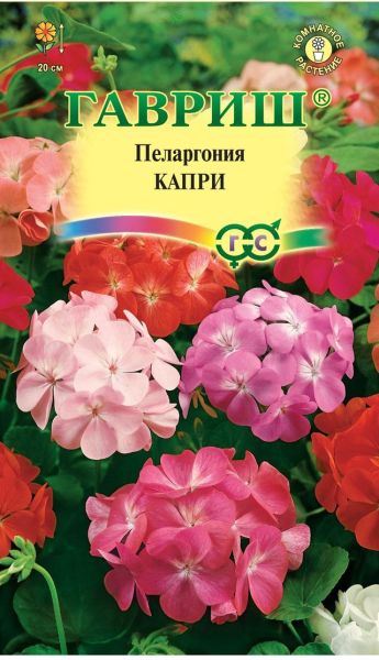 Семена Пеларгония Капри F2 зональная 4 шт.