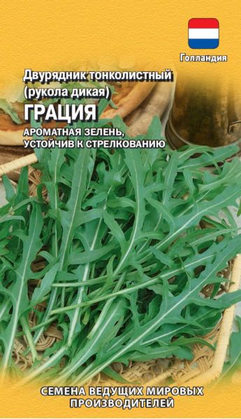 Семена Двурядник тонколистный Рукола дикая Грация  500 шт. Голландия