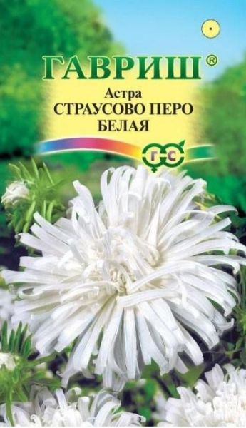Семена Астра Страусово перо белая 0,3 г