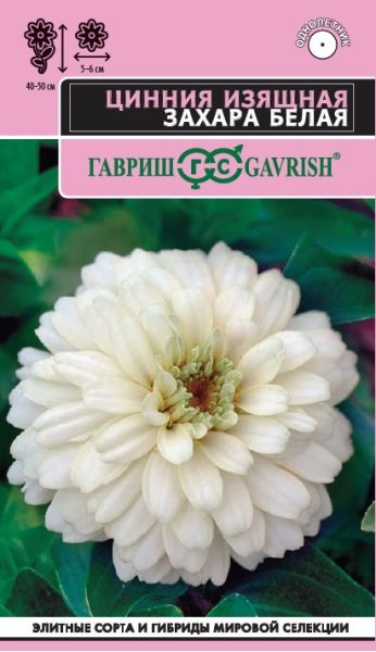 Цинния Захара белая 5 шт.