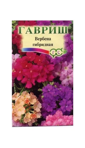 Вербена Романс, гибридная (смесь) 0,05 г