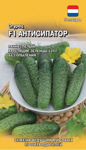 Семена Огурец Антисипатор F1 5 шт Голландия