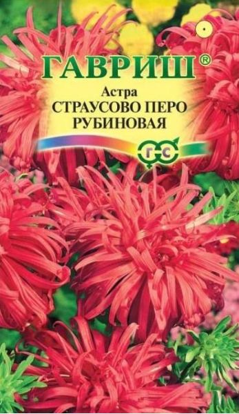 Семена Астра Страусово перо рубиновая 0,3 г