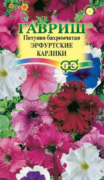 Петуния Эрфутские карлики бахр. 7 шт. гранул. пробирка