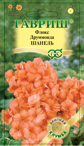 Флокс Шанель друммонда* 8 шт. серия Элитная клумба