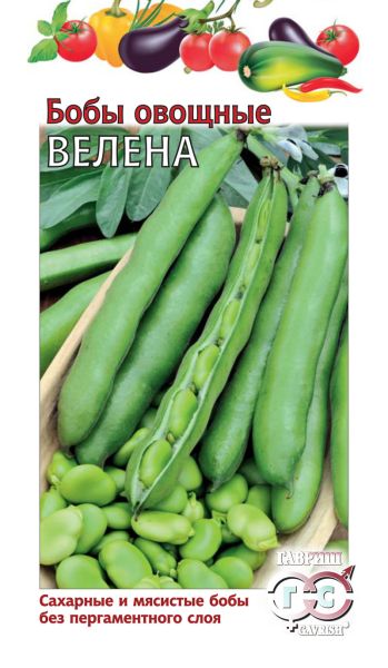 Семена Бобы Велена 10 шт.