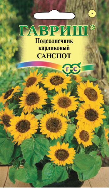 Подсолнечник Санспот (карликовый) 0,5 г