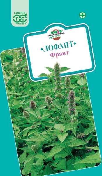 Семена Лофант Франт сидерат 0,5 кг