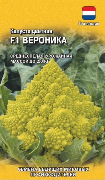 Семена Капуста цветная Вероника F1 5 шт Голландия