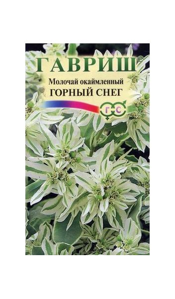 Молочай окаймленный Горный снег 0,5 г