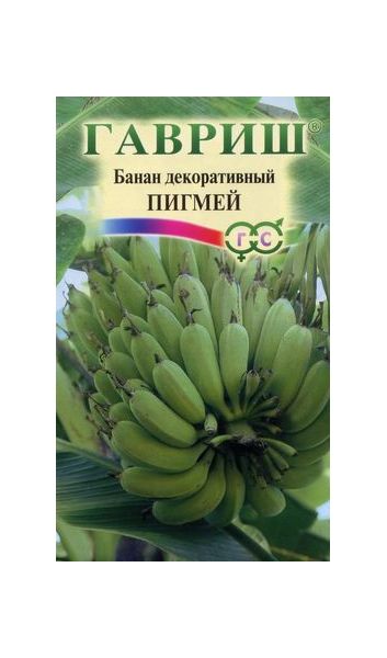Семена Банан декоративный Пигмей 3 шт.