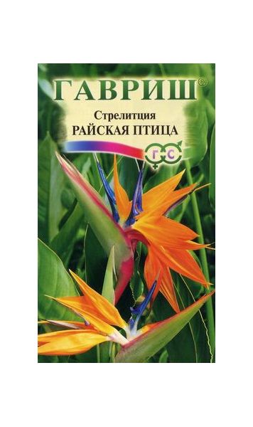 Семена Стрелиция Райская Птица 3 шт.